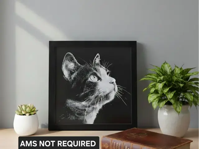 HueForge model: Beautiful Cat Portrait by N0vA Designs