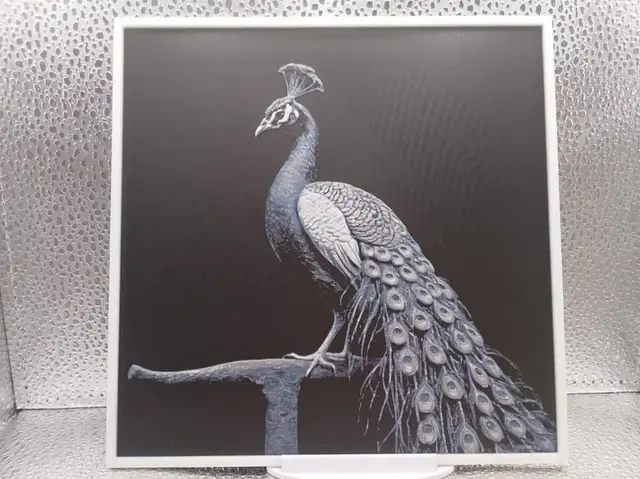 HueForge model: Peacock hueforge by Borishotch Industries