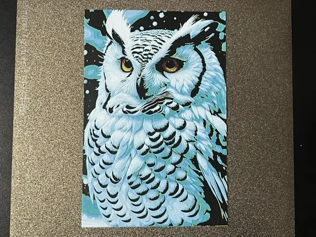 HueForge model: Snowy Owl Hueforge 2 by FantasyZ