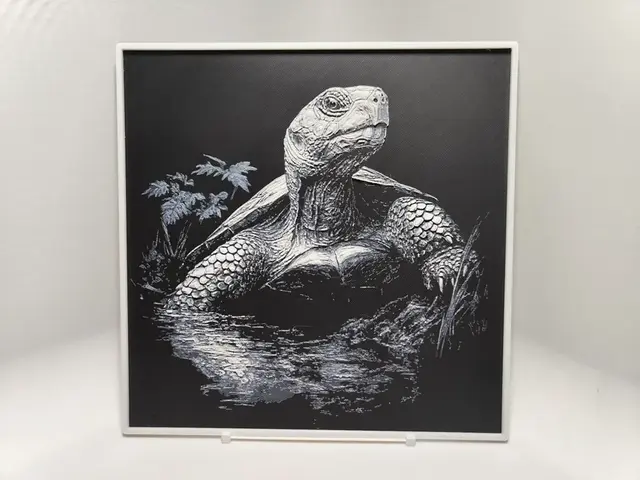 HueForge model: Tortoise - Hueforge by BeaN