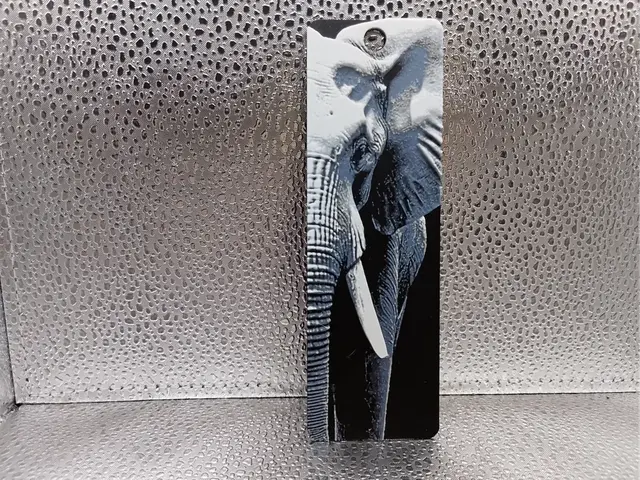 HueForge model: Elephant Bookmark – Hueforge by Borishotch Industries