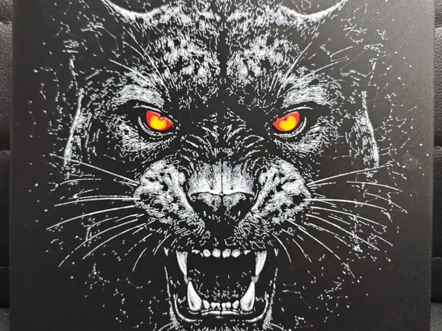 HueForge model: Panther / Dark Beast Series by TheHueforgeLady