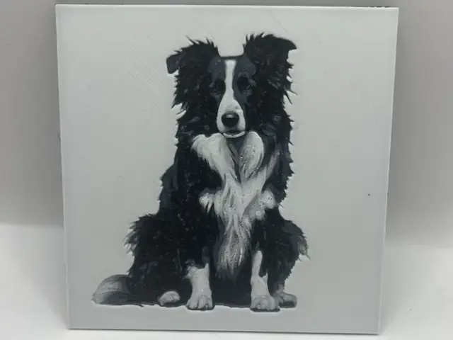 HueForge model: Border Collie coaster by Leafy