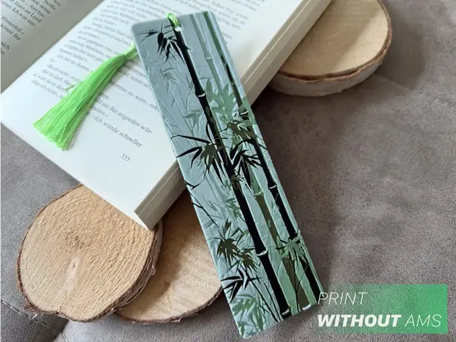 HueForge model: Bamboo Bookmark by Loupes