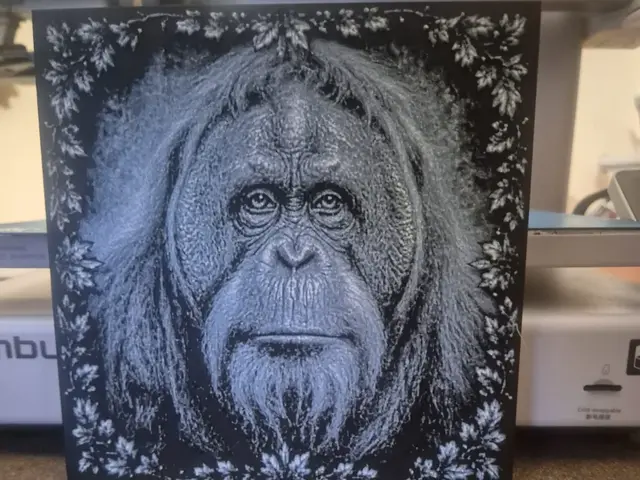 HueForge model: orangutan picture by Buntsta