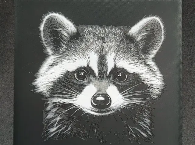 HueForge model: Racoon HueForge by fD.667