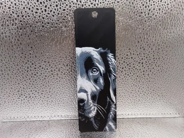 HueForge model: Flat-Coated Retriever Bookmark – Hueforge by Borishotch Industries