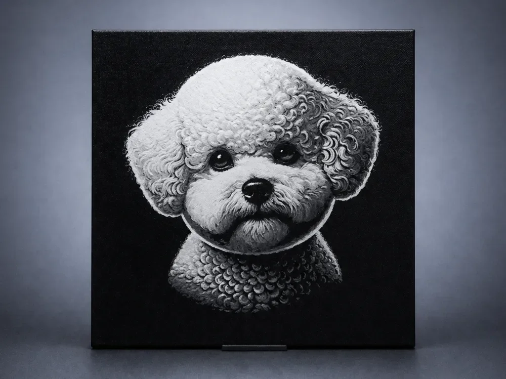 Bichon Frise (French Bolognese) by Aleksandr HueForge model: Bichon Frise (French Bolognese) by Aleksandr
