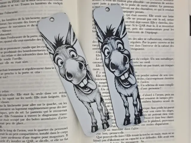 Bookmark L'àne