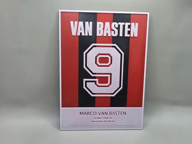 HueForge model: Marco Van Basten - AcMilan - HueForge by keko