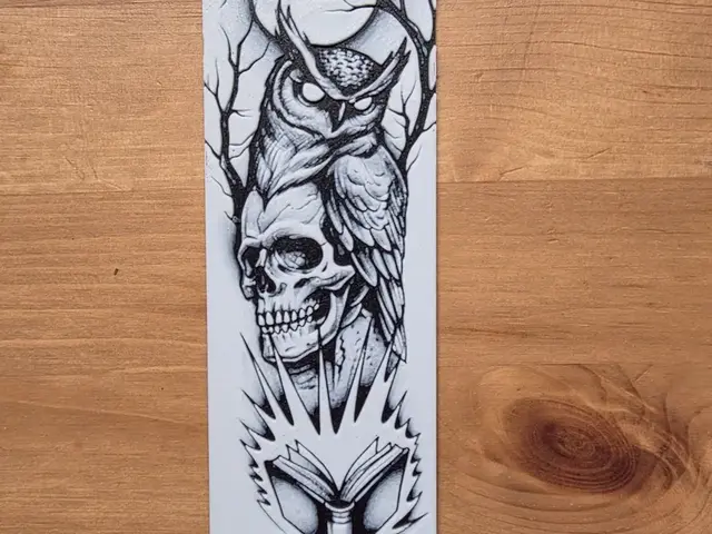 HueForge model: Skull And Owl Bookmark by Morganja