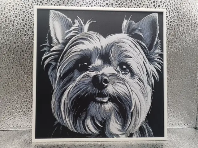HueForge model: Yorkshire Terrier Hueforge by Borishotch Industries