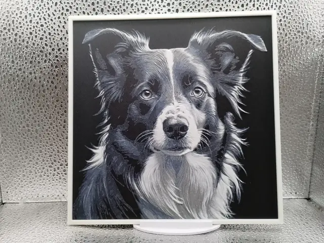 HueForge model: Border Collie hueforge by Borishotch Industries