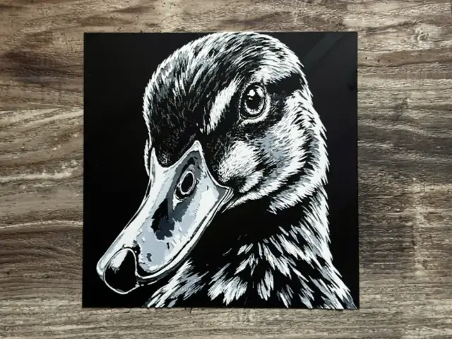 HueForge model: Duck HueForge Wildlife Series by novy