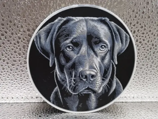 HueForge model: Labrador Retriever Coaster – Hueforge by Borishotch Industries