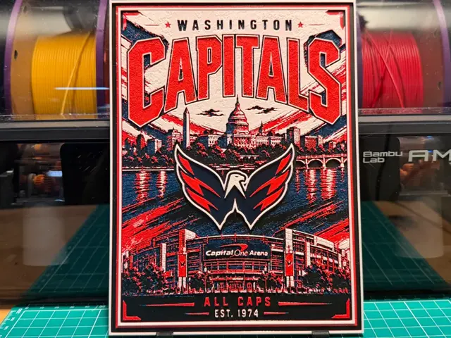 Washington Capitals Poster