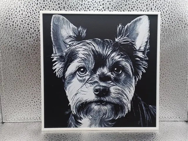 HueForge model: Biewer Yorkshire Terrier - Hueforge by Borishotch Industries