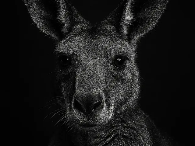 HueForge model: Hueforge Kangaroo by cterry2000