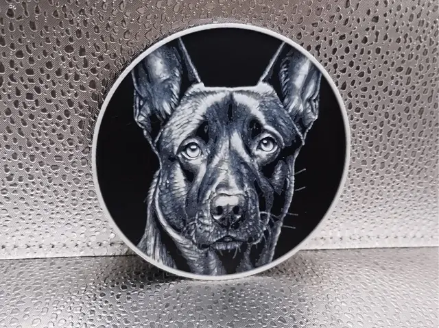 HueForge model: Belgian Malinois Coaster – Hueforge by Borishotch Industries