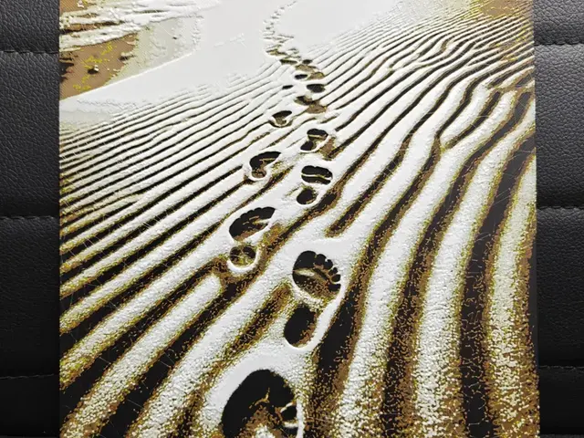 HueForge model: Footprints in sand by TheHueforgeLady