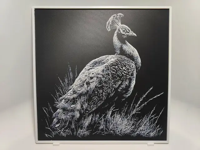 HueForge model: Peacock - Hueforge by BeaN