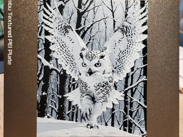 HueForge model: The Flight of the White Owl - 160x200 by Vincent111