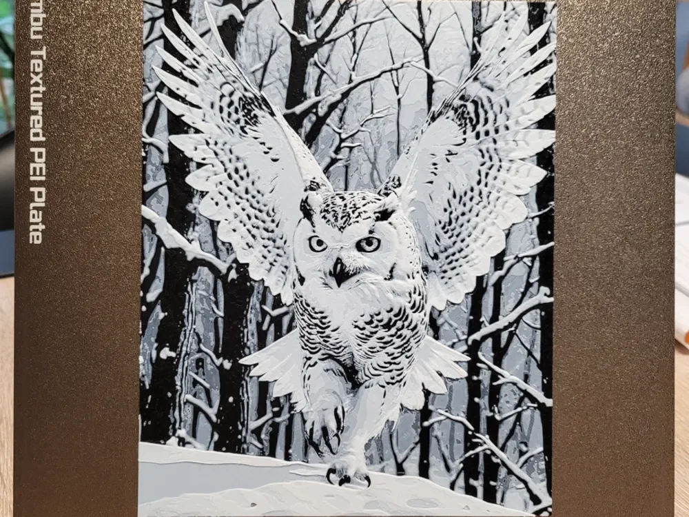 The Flight of the White Owl - 160x200 by Vincent111 HueForge model: The Flight of the White Owl - 160x200 by Vincent111