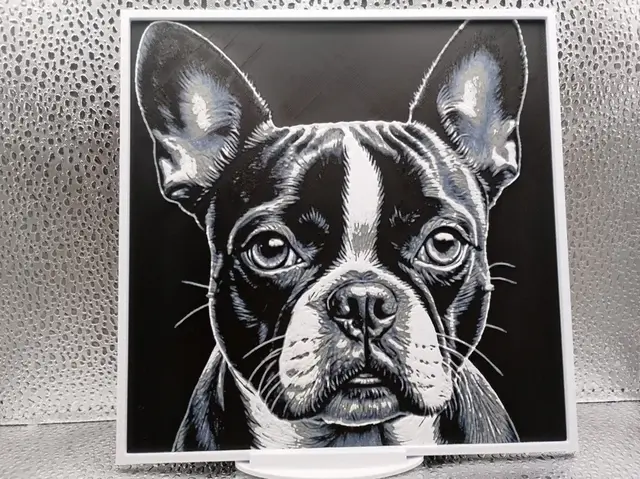 HueForge model: Boston Terrier hueforge by Borishotch Industries