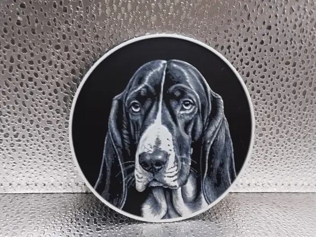 HueForge model: Basset Hound Coaster – Hueforge by Borishotch Industries