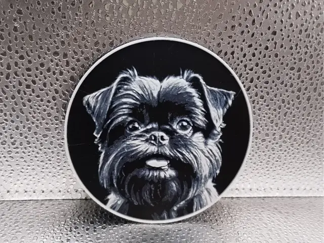 HueForge model: Affenpinscher Coaster - Hueforge by Borishotch Industries