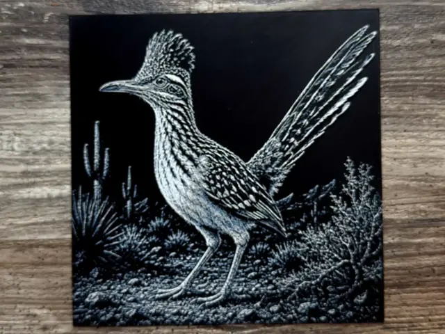 HueForge model: Roadrunner Wildlife Series by novy