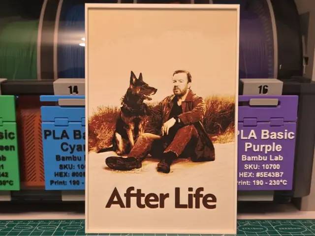 HueForge model: After Life Series Poster - Hueforge Art by Lumpy3D