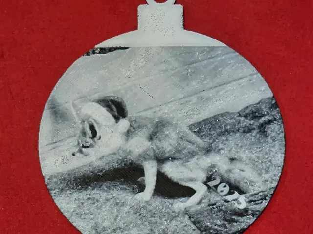 HueForge model: Foxy Gift 2025 Christmas Ornament Hueforge No AMS by AirMechDesigns
