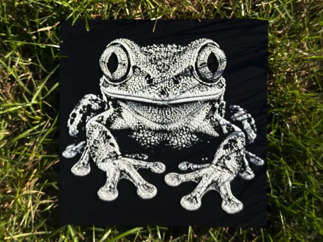 Tree Frog WIldlife Series
