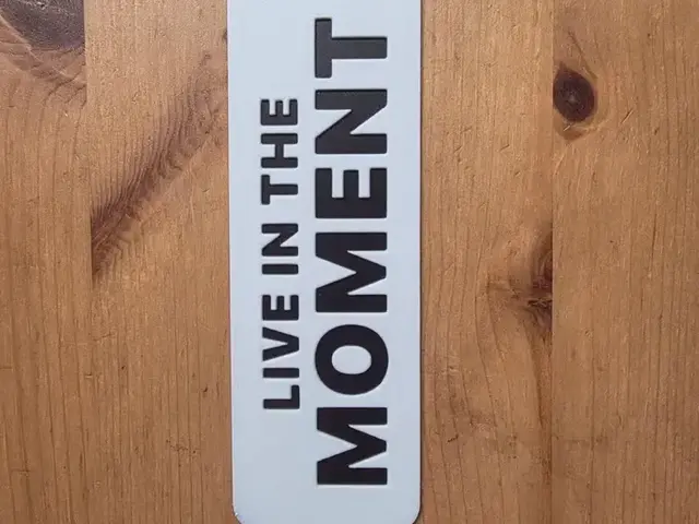HueForge model: LIVE IN THE MOMENT BOOKMARK by Morganja