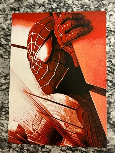 Spider-Man -includes A1 mini (HueForge print)
