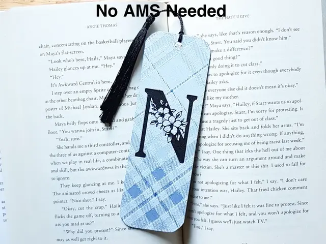 HueForge model: Monogram N Bookmark. Hueforge by Dame Jo