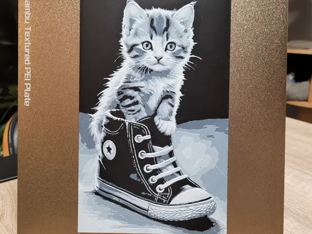 HueForge model: Cat Hueforge - Kitten in Converse - Black White by Vincent111