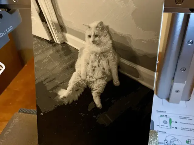 HueForge model: Relaxed Cat by 3D_Forged