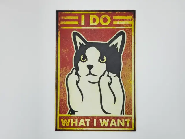 HueForge model: Cat, I do what I want by Kactus Fpv