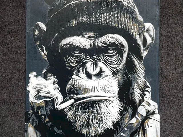 HueForge model: Chimpanzee III. HueForge by fD.667