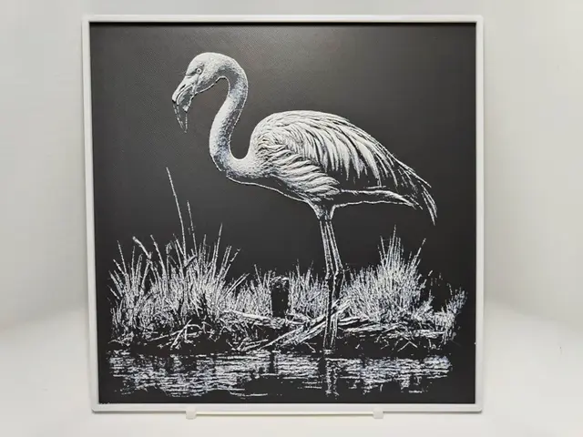HueForge model: Flamingo - Hueforge by BeaN
