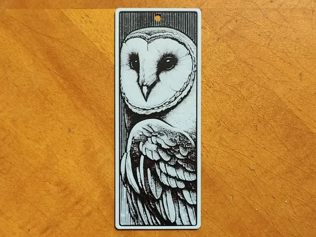 Barn Owl Bookmark