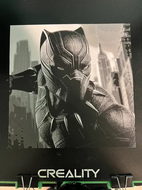 Black Panther in NYC