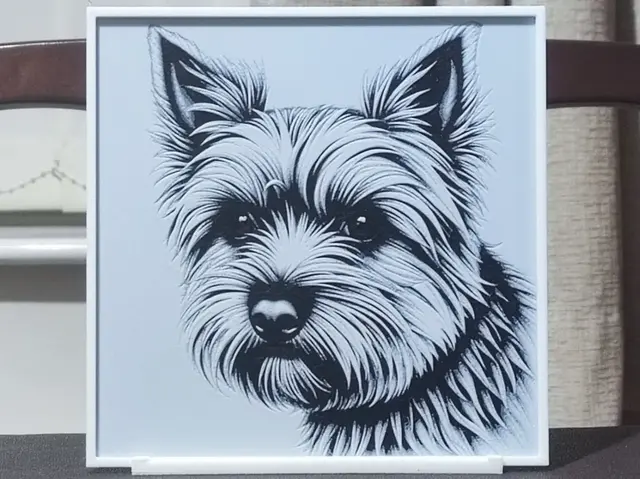 HueForge model: Yorkshire Terrier - HueForge 2 Color by BoDad