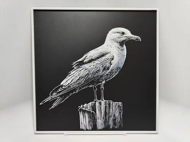 HueForge model: Seagull - Hueforge by BeaN