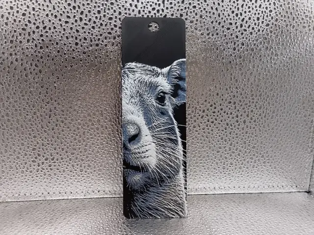 HueForge model: Capybara Bookmark – Hueforge by Borishotch Industries