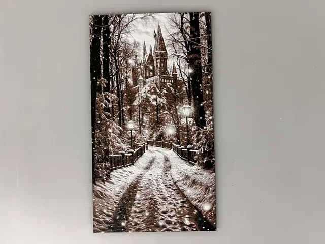 HueForge model: Harry Potter Hogwarts Castle Snowy Trail by 3djd