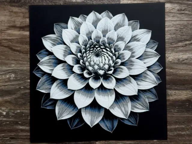 HueForge model: Dahlia Flower Series by novy