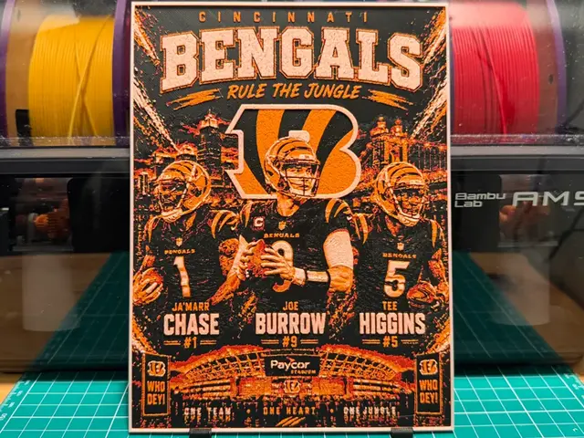 Bengals Players Poster
